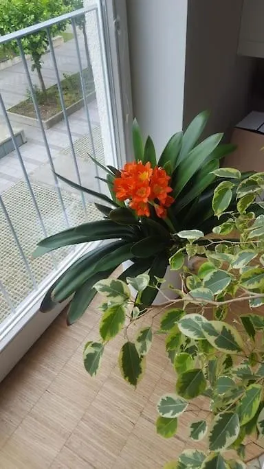 1 Apartment With 2Rooms In Muenchen Germany